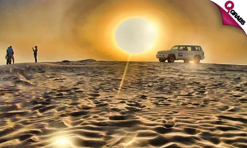 Private Half-Day Safari!